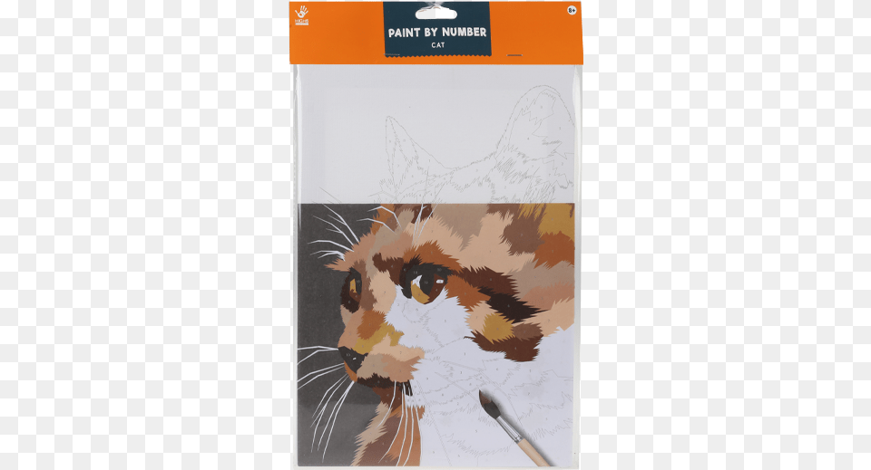 Paint By Number Craft, Art, Animal, Cat, Pet Png