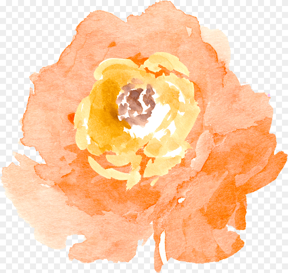 Paint Clipart Watercolour Transparent Background Free Flower Clipart, Plant, Rose, Peel Png Image