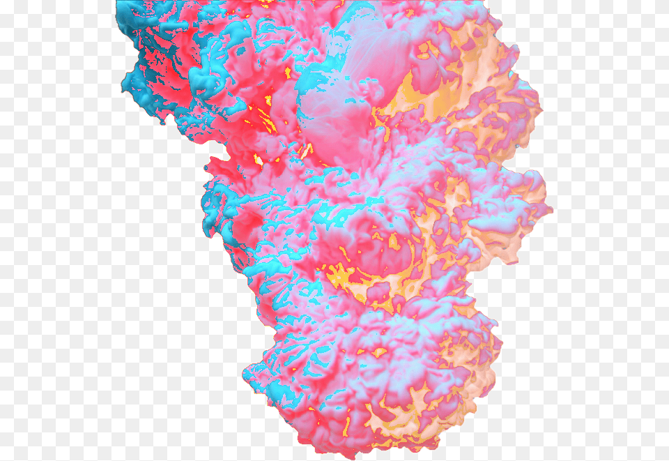 Paint Explosion Explosion Of Colors, Carnation, Flower, Mineral, Plant Free Png