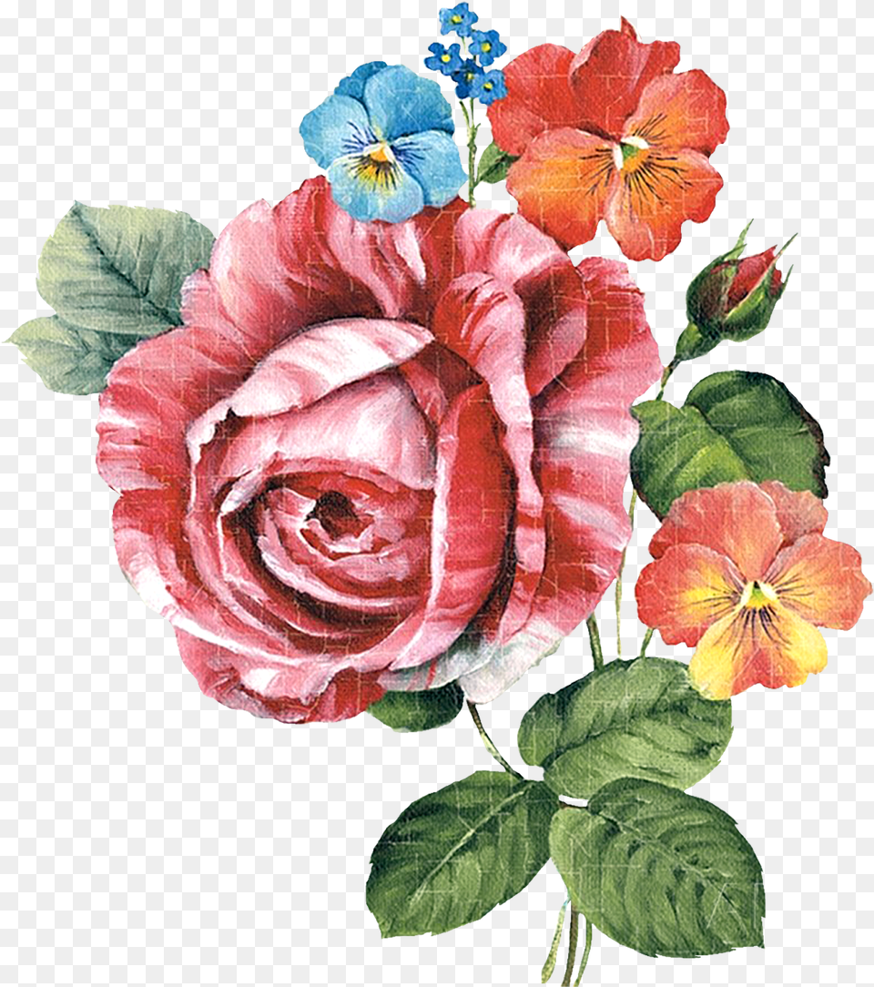 Paint Flower Cliparts Botanical Flowers, Plant, Rose, Petal, Art Png Image