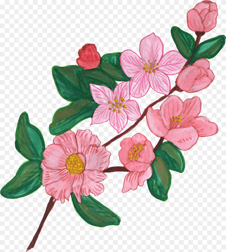 Paint Flower Ornament Flowers Images Painted, Plant, Anemone, Pattern, Rose Free Png Download