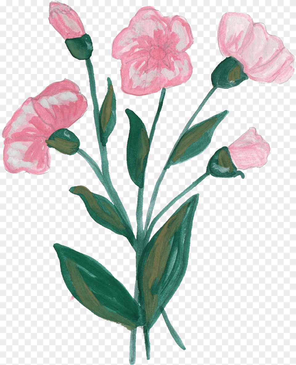 Paint Flower Ornament Transparent Flower Painting, Carnation, Plant, Rose, Petal Png Image