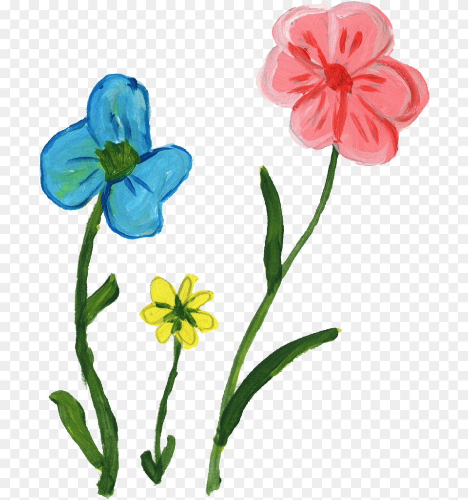 Paint Flower Transparent 1 Kb Image Download, Anemone, Plant, Petal, Geranium Png