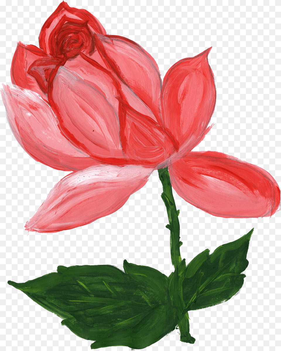 Paint Flower Transparent Flower Painting, Dahlia, Petal, Plant, Rose Free Png