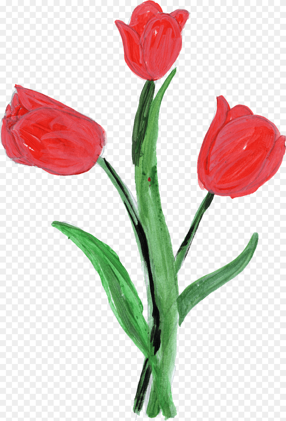 Paint Flower Transparent Onlygfxcom Painted Tulip Flower, Flower Arrangement, Plant, Rose, Petal Png Image