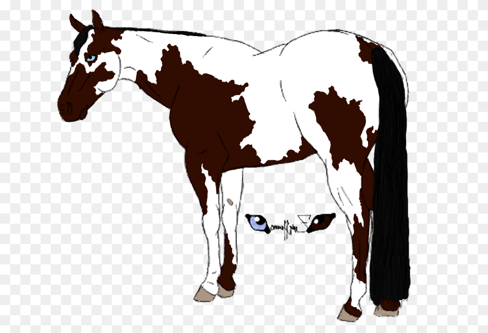 Paint Horse Drawing Auction, Animal, Mammal, Colt Horse, Adult Png Image