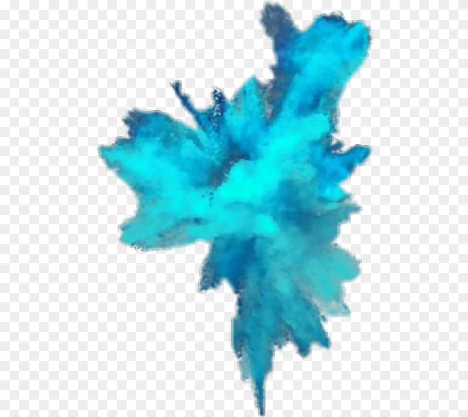 Paint Slash, Leaf, Plant, Person, Turquoise Png Image