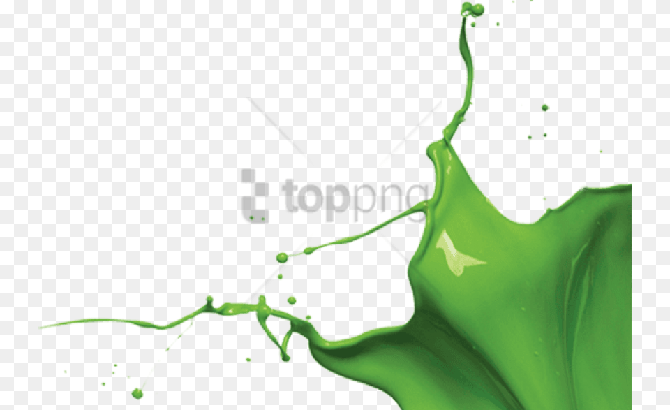 Paint Splash Green, Leaf, Plant, Droplet Png