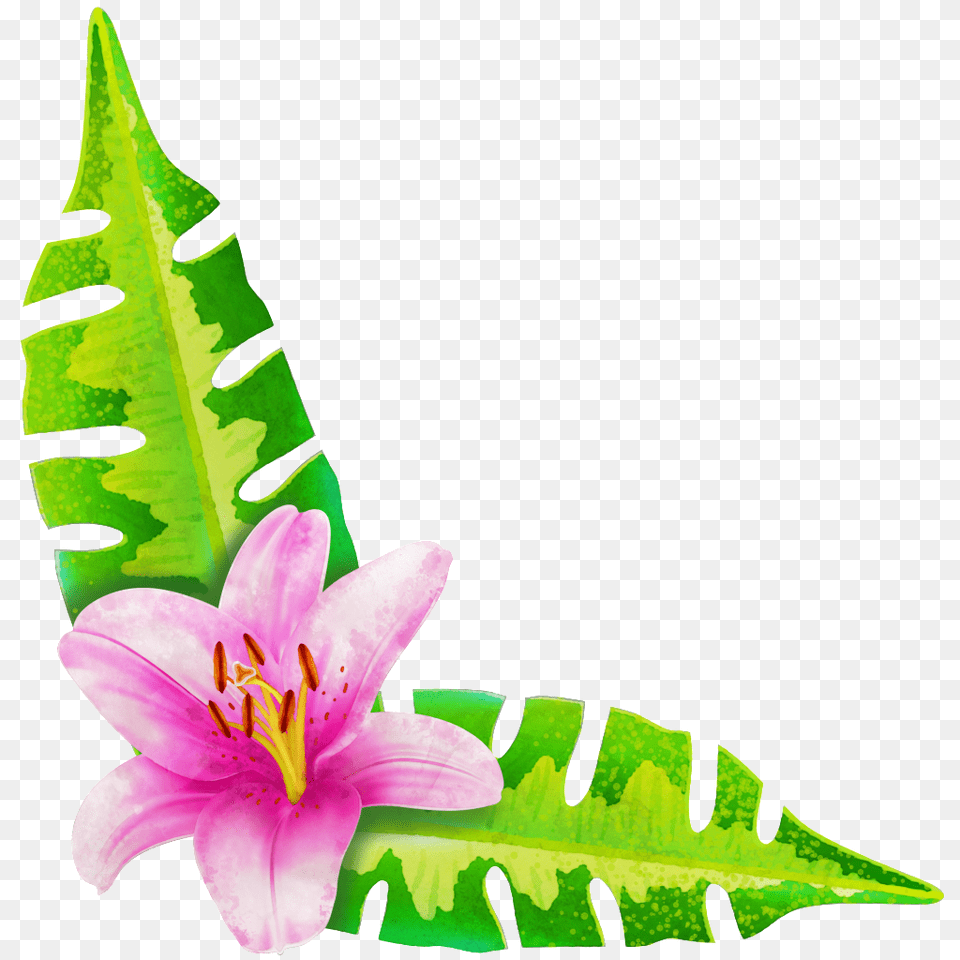 Painted A Flower Two Leaves Download, Anther, Leaf, Petal, Plant Png Image