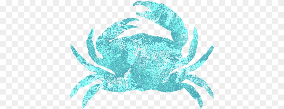 Painted Crab, Food, Seafood, Animal, Invertebrate Png