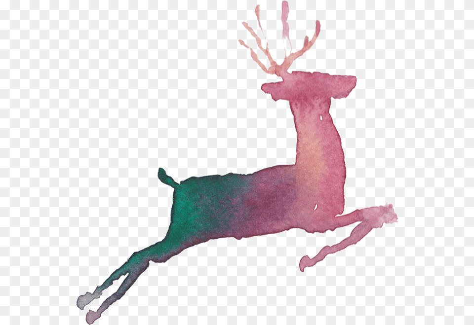 Painted Deer Running Download Reindeer Running Painting, Animal, Mammal, Wildlife, Baby Png