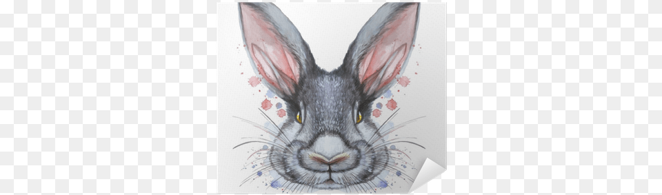 Painted Drawing With Watercolor Portrait Of An Animal Kanin Tegning, Art, Cat, Mammal, Pet Png Image