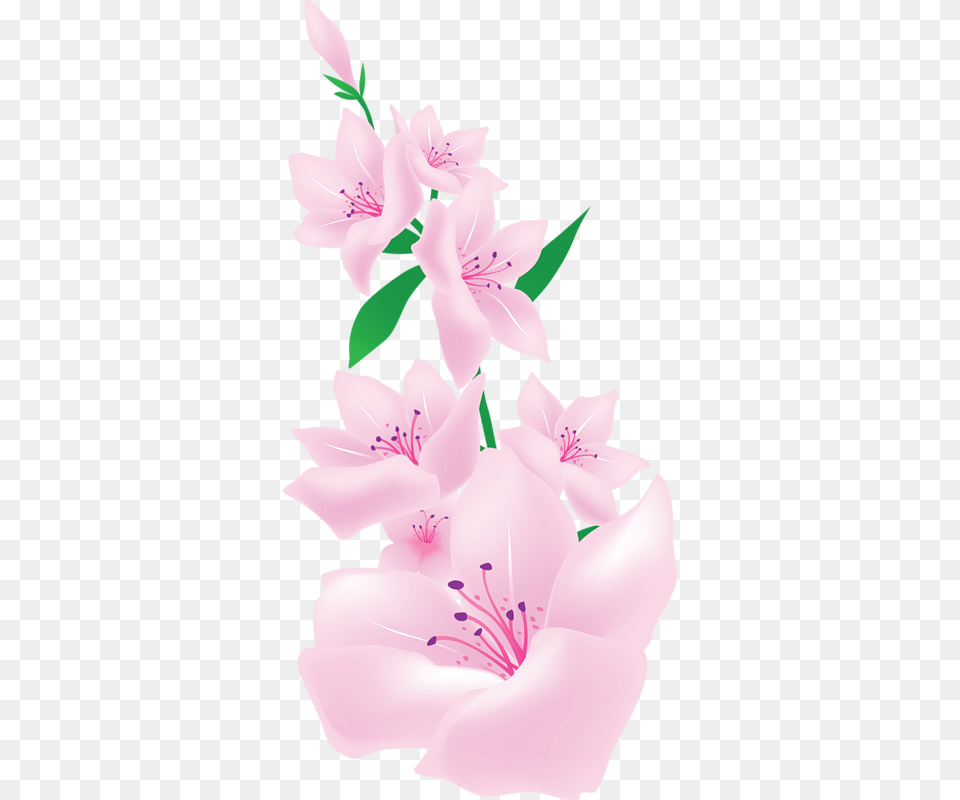 Painted Flower Art, Plant, Anther, Petal, Cherry Blossom Png Image