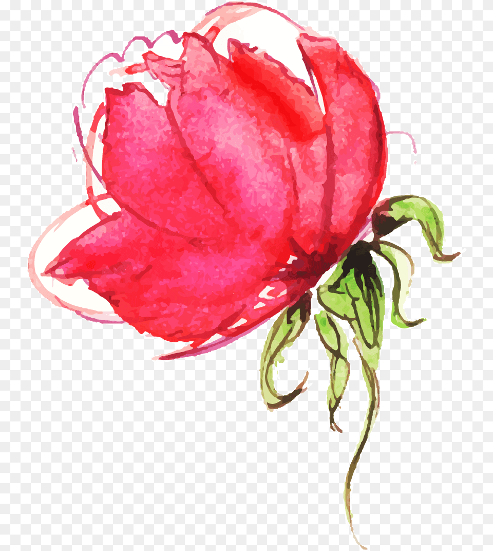 Painted Flowers, Flower, Petal, Plant, Rose Free Png Download