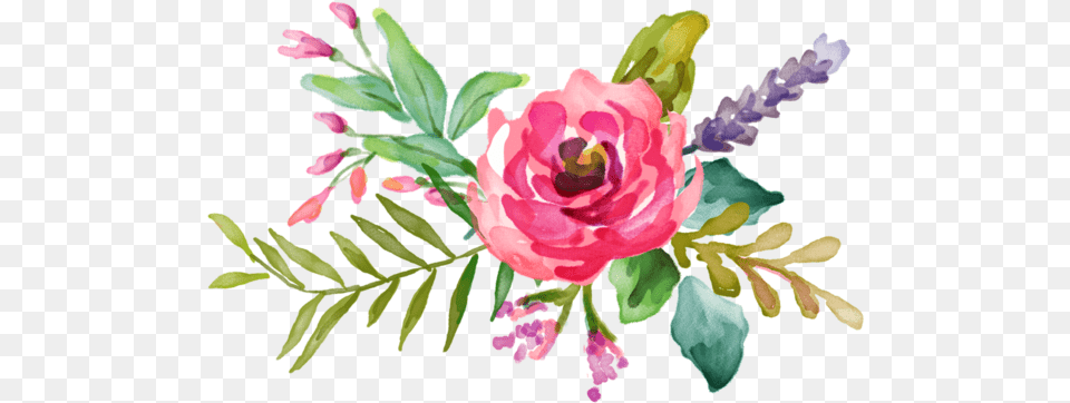 Painted Flowers Image Vector Pink Watercolor Flowers, Art, Floral Design, Flower, Graphics Png