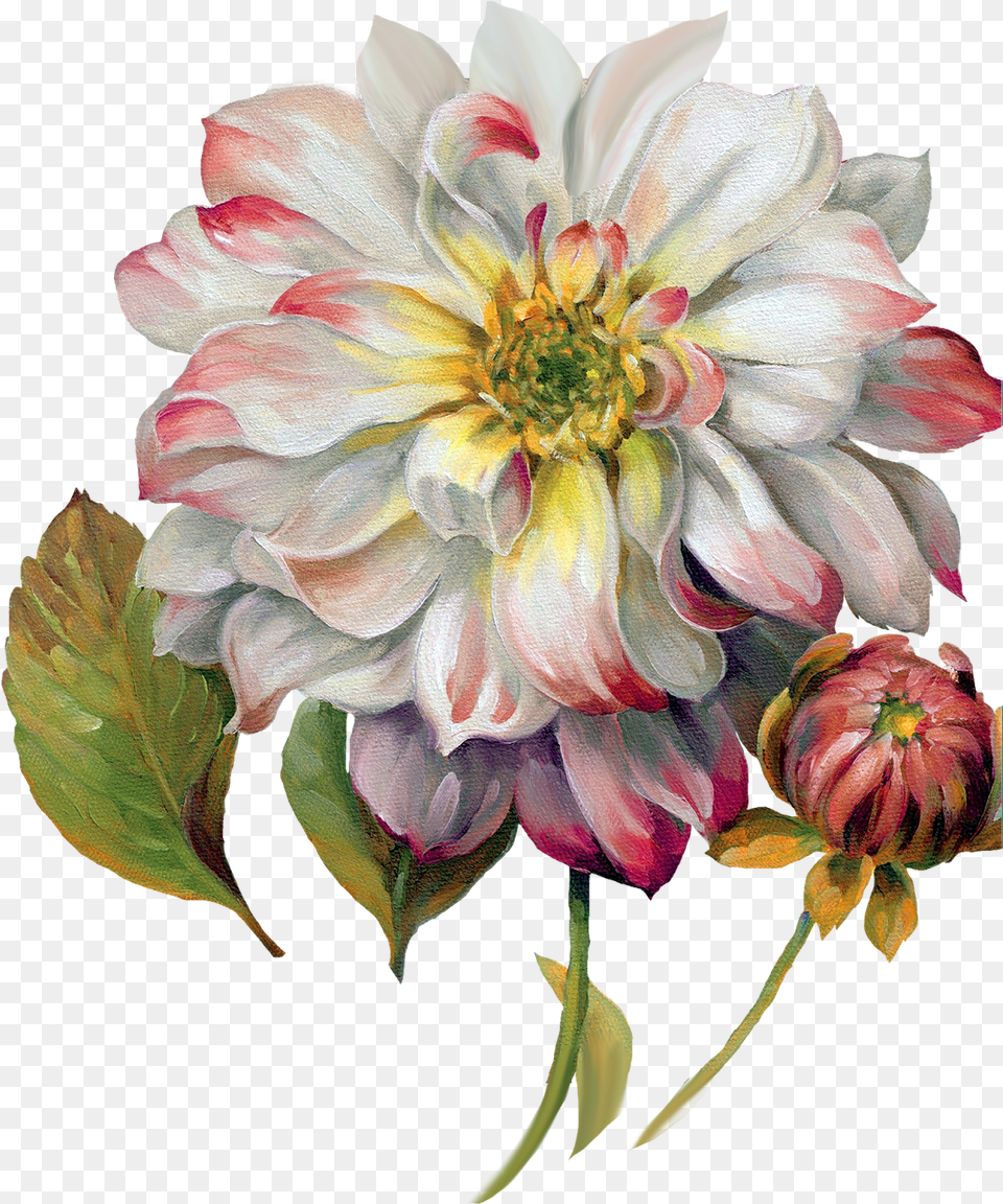 Painted Flowers Jpeg Wallpapers D Flower Decoupage Design, Dahlia, Plant, Rose, Petal Free Png