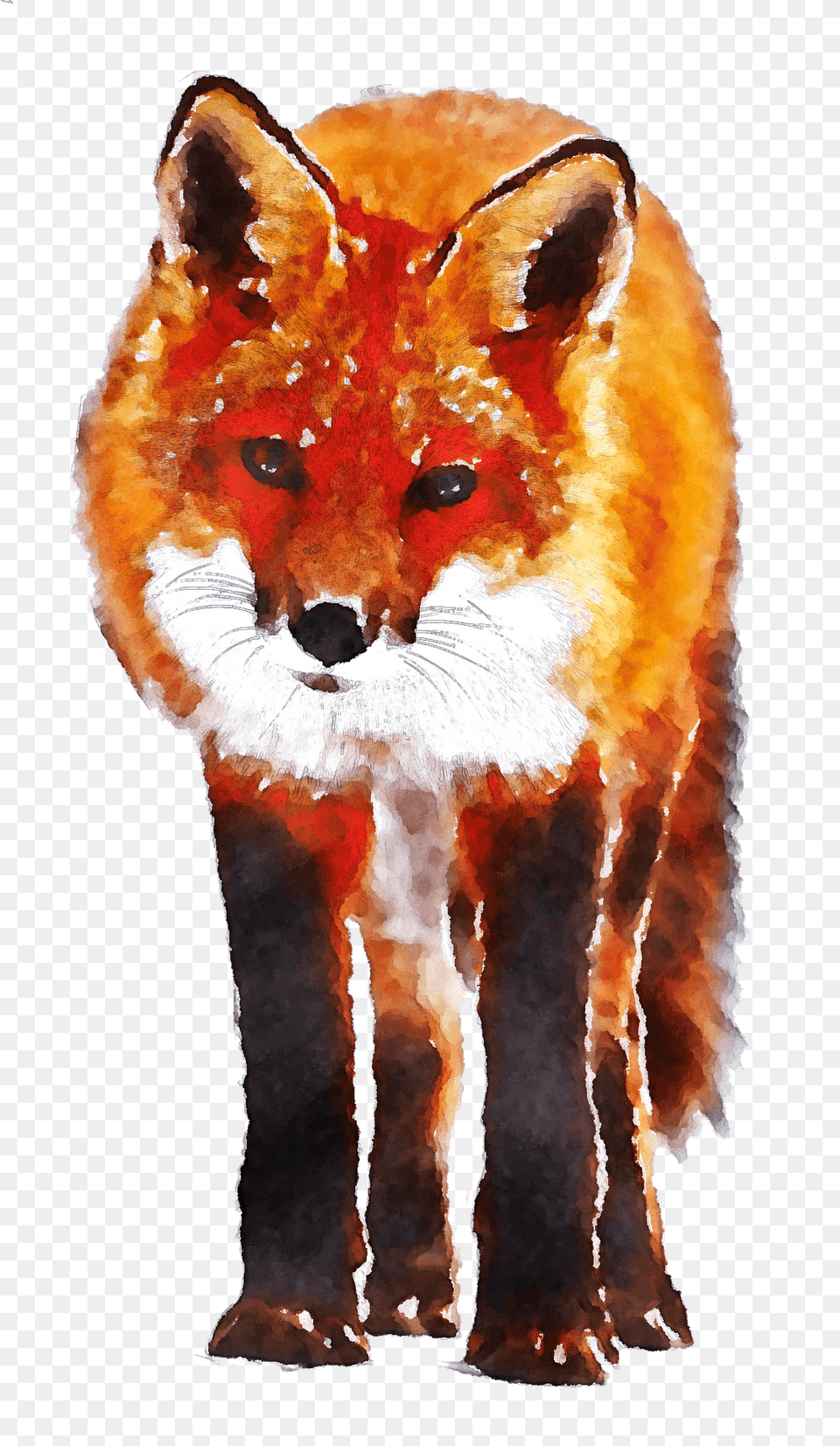 Painted Fox Clipart, Animal, Canine, Mammal, Red Fox Png Image