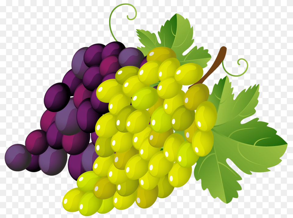 Painted Grapes, Food, Fruit, Plant, Produce Png