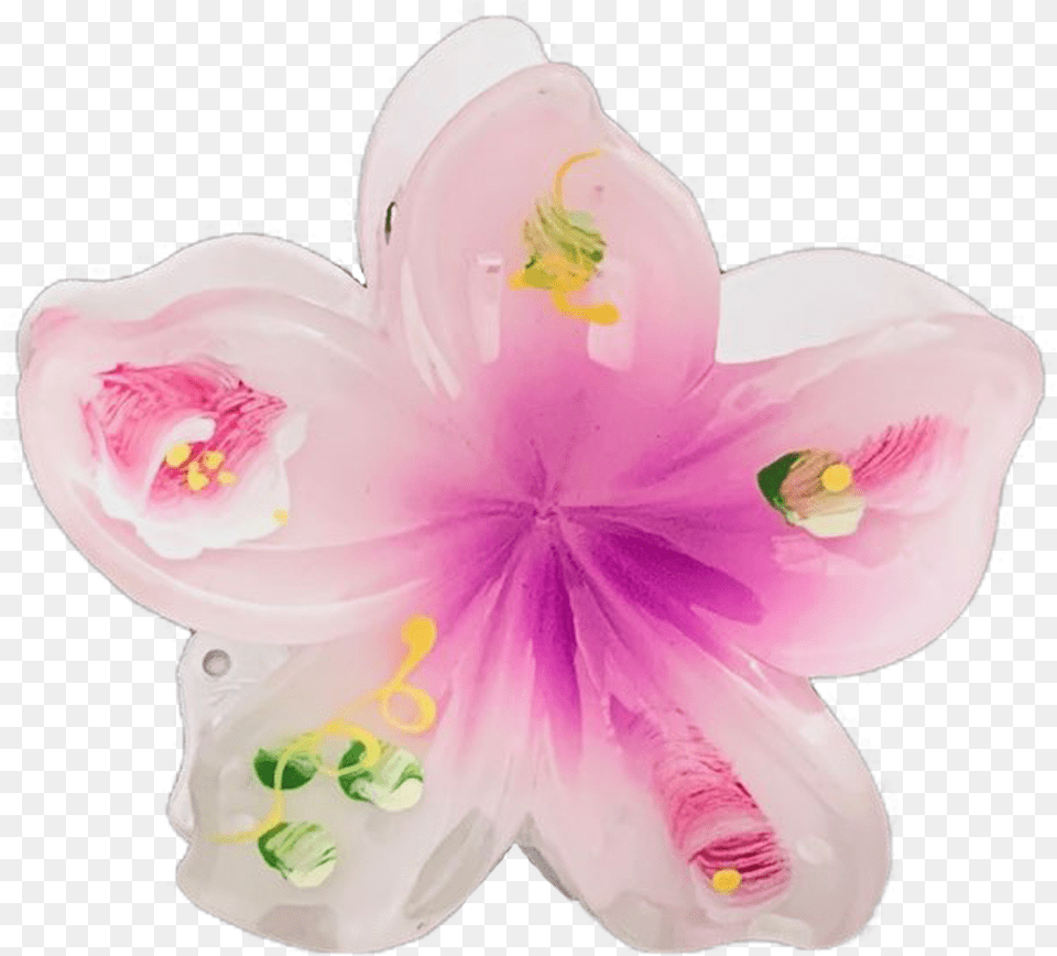 Painted Large Hair Clip By Hawaiian Glamour Girly, Anther, Flower, Petal, Plant Png Image