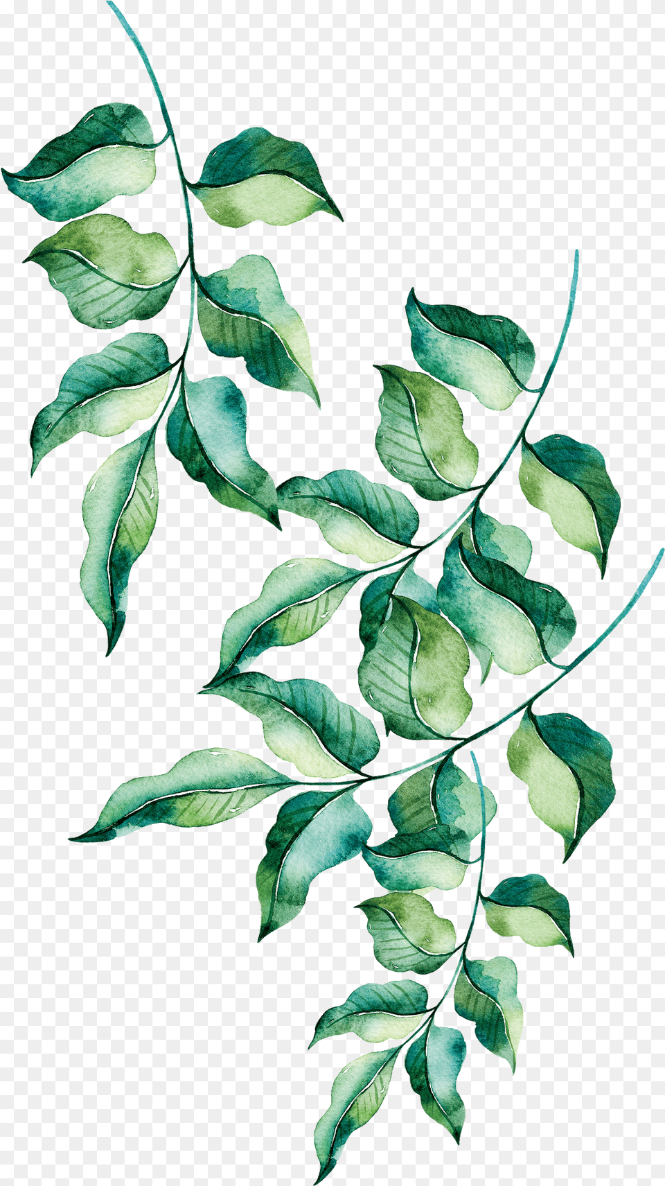 Painted Leaves, Leaf, Plant, Art, Pattern Free Png Download