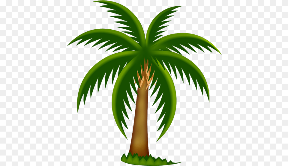 Painted Palm Tree Clipart Date Palm Tree Clipart, Palm Tree, Plant, Vegetation Png
