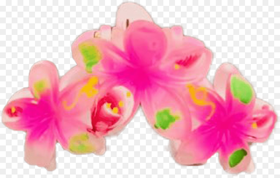 Painted Plumeria Trio Hair Clip By Hawaiian Glamour Artificial Flower, Cream, Dessert, Food, Icing Free Transparent Png