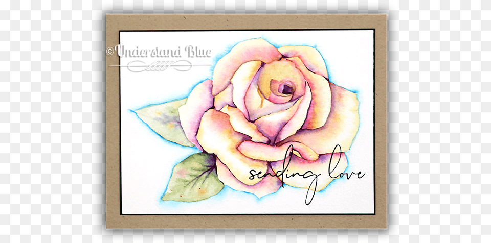 Painted Rose Bundle Hybrid Tea Rose, Flower, Plant, Art, Baby Png Image