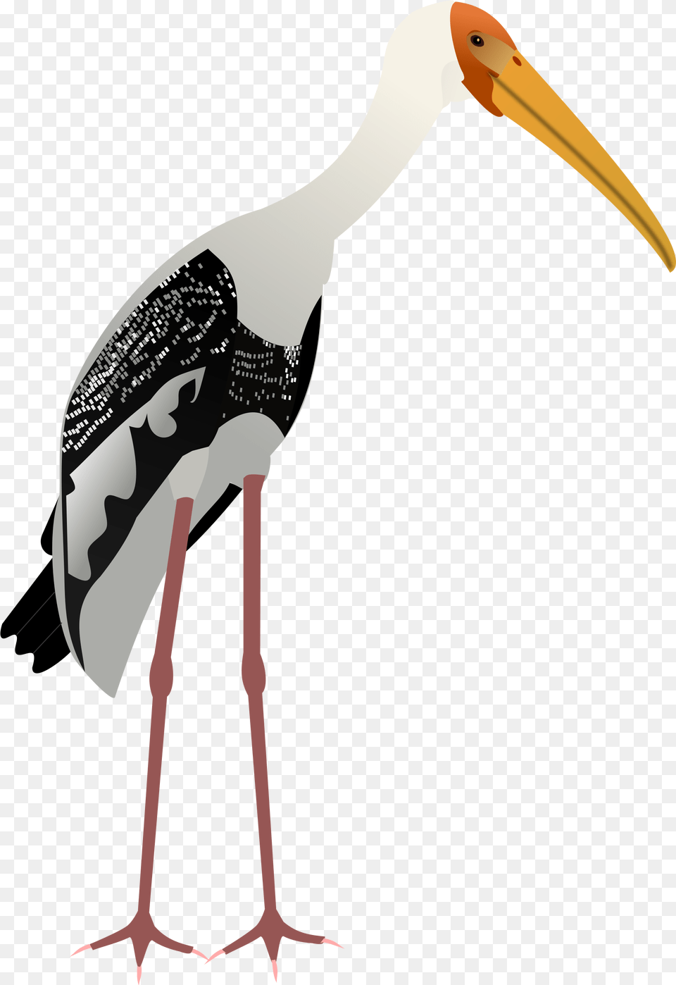 Painted Stork Vector Image Birds Painted Stork, Animal, Bird, Waterfowl, Beak Free Png