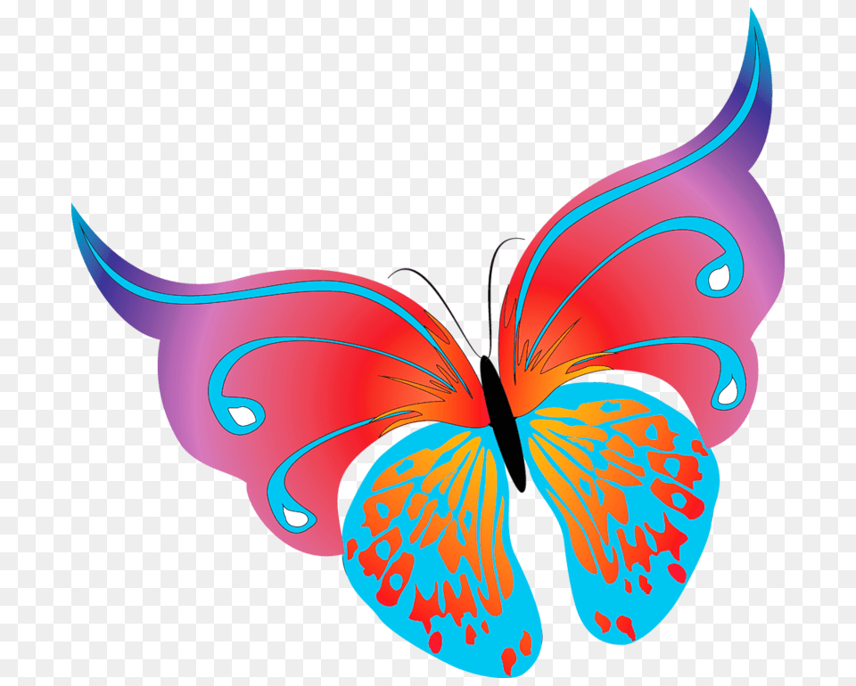 Painted Transparent Butterfly, Graphics, Art, Floral Design, Pattern Png Image