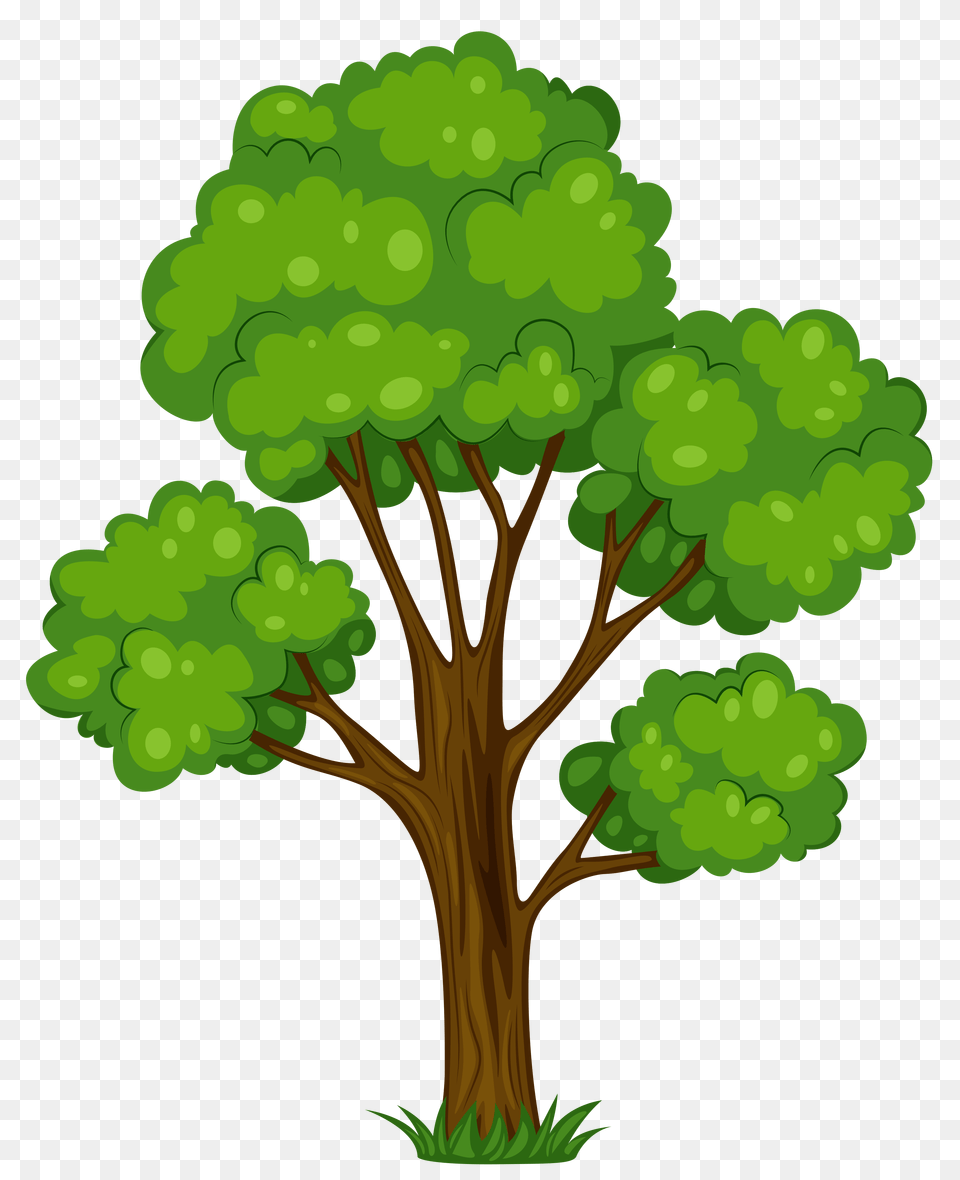 Painted Tree Clipart Picture Gallery, Green, Plant, Cross, Symbol Free Transparent Png