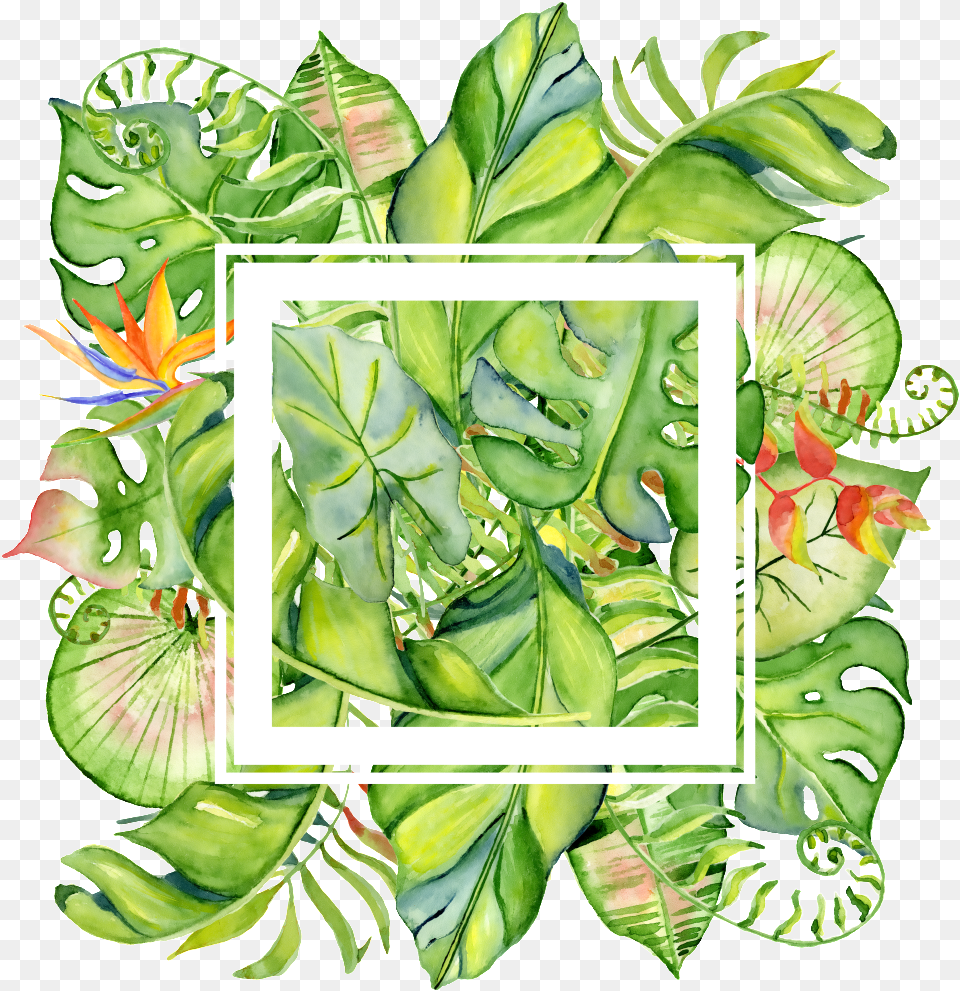 Painted Tropical Leaves Frame Transparent About Border Tropical Leaves, Art, Plant, Leaf, Green Free Png Download
