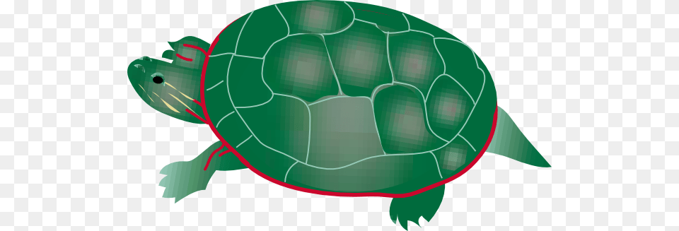 Painted Turtle Clip Art, Animal, Reptile, Sea Life, Tortoise Png Image