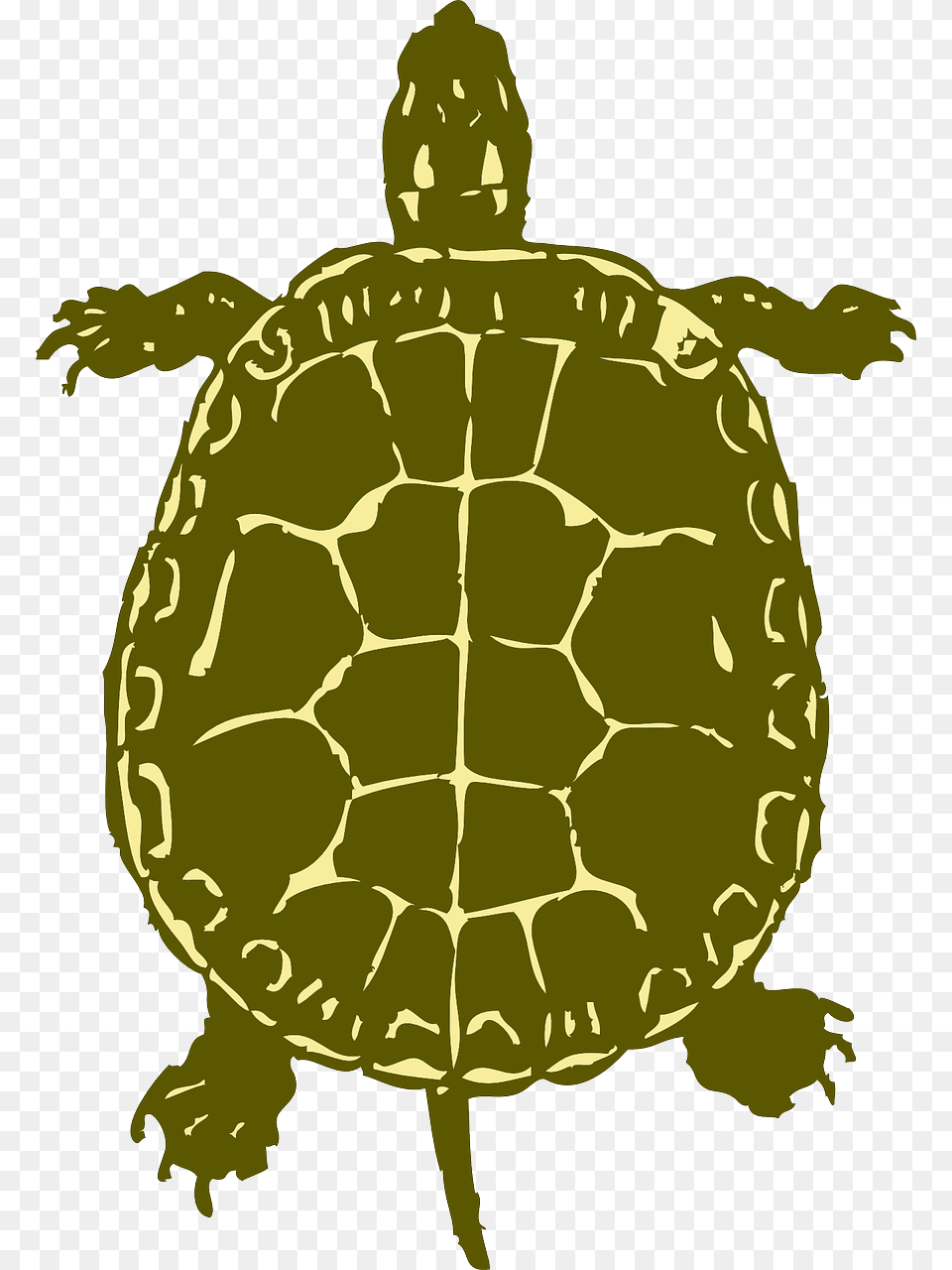 Painted Turtle Silhouette, Animal, Tortoise, Sea Life, Reptile Free Png Download