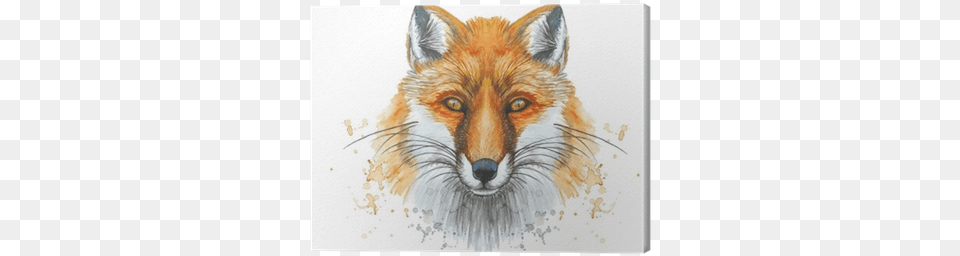 Painted With A Watercolor Drawing Of A Red Fox The Raposa Desenho, Animal, Canine, Mammal, Red Fox Free Png Download