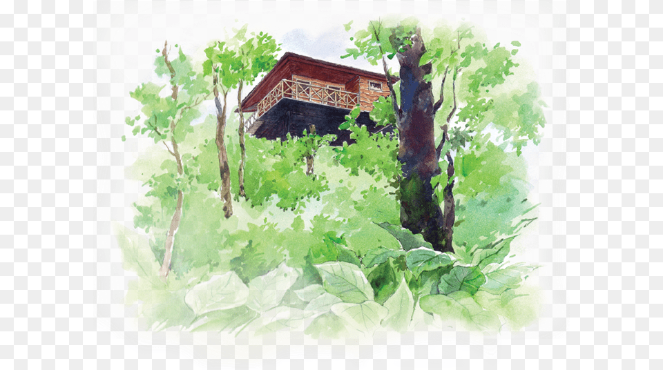 Painting, Architecture, Outdoors, Herbs, Herbal Png