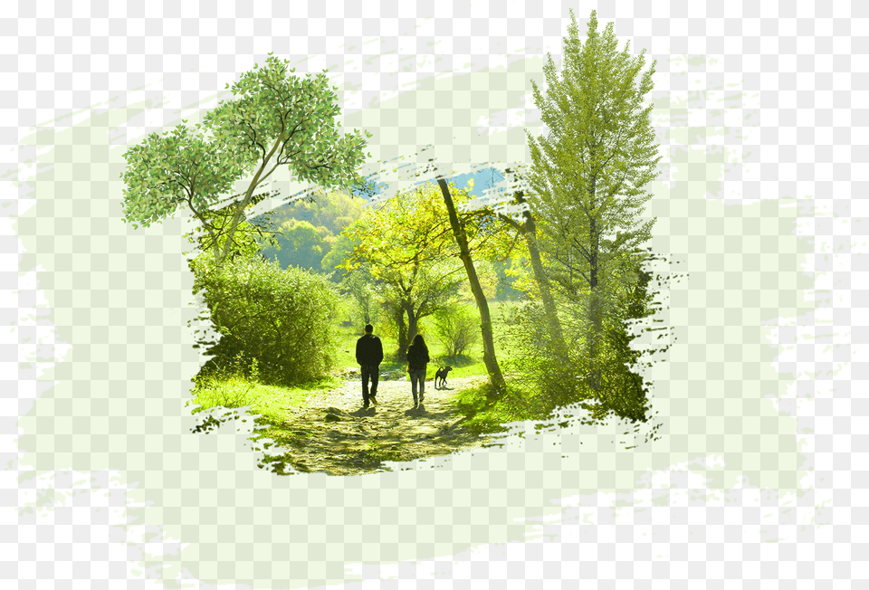 Painting, Woodland, Walking, Vegetation, Tree Free Transparent Png