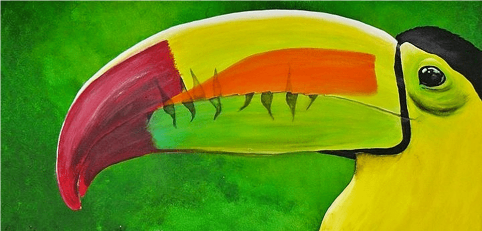 Painting, Animal, Beak, Bird, Toucan Png