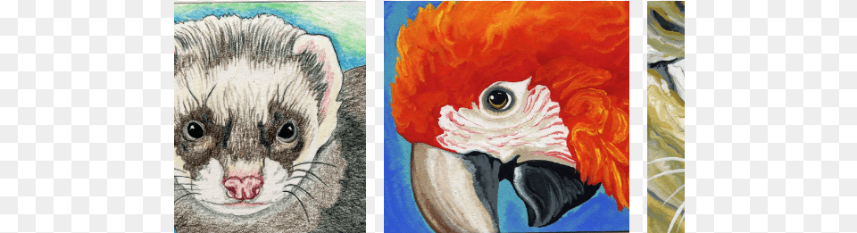 Painting, Animal, Beak, Bird, Art Png Image