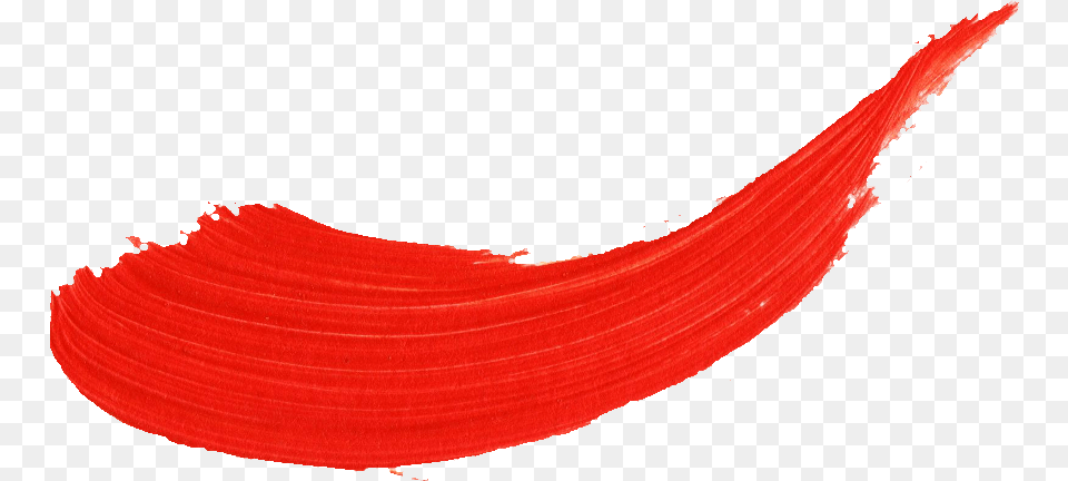 Painting Brush, Flower, Petal, Plant Png