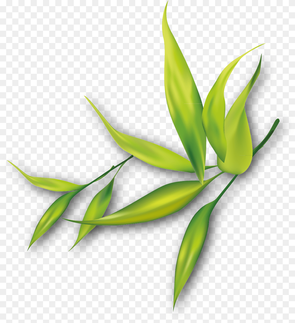 Painting Clip Art Transprent Free Flower Border For Bulletin Board, Green, Leaf, Plant Png