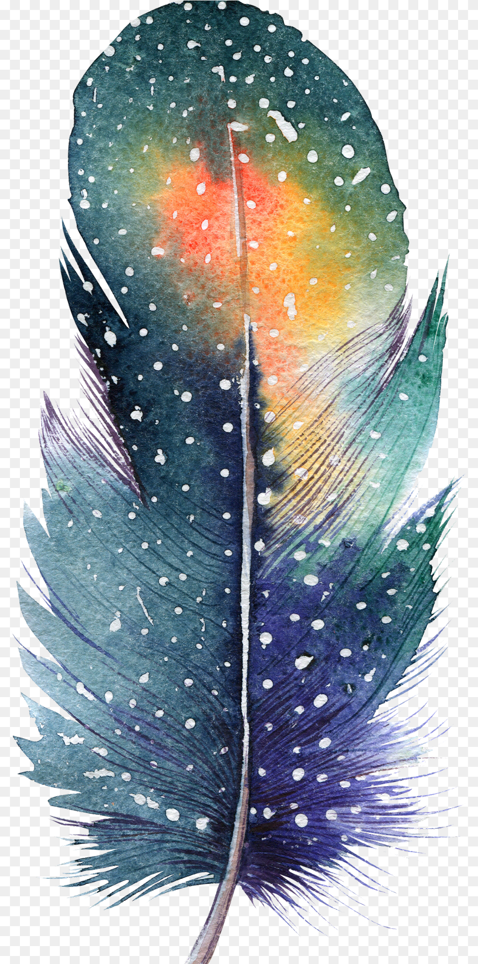 Painting Feathers, Accessories, Plant, Leaf, Bottle Free Png Download
