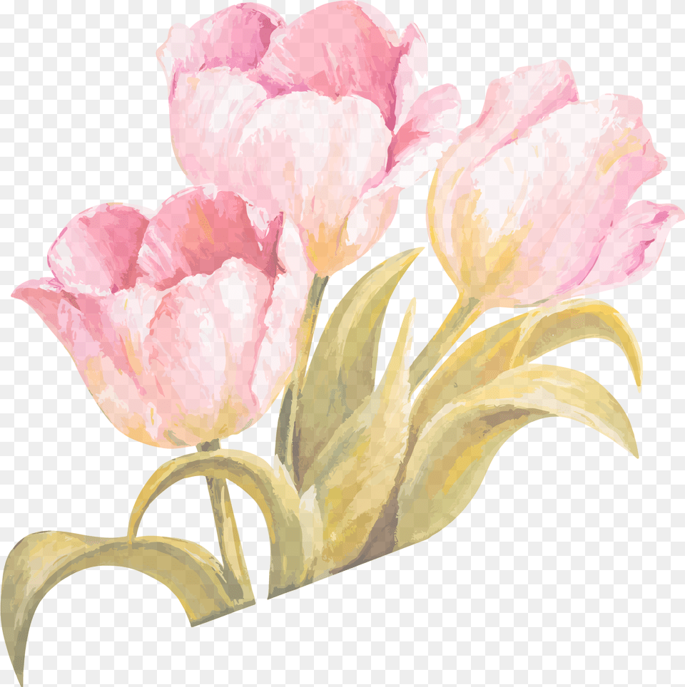Painting Flower Ribbon Transprent Pink Tulip Watercolor, Plant, Carnation, Petal, Pattern Png