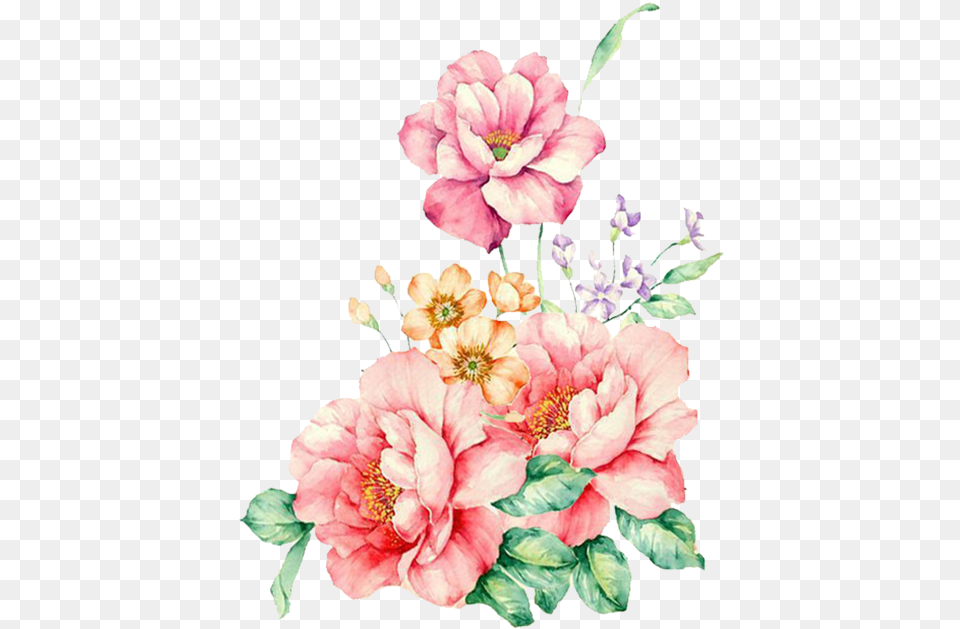 Painting Flowers, Anther, Plant, Flower, Rose Png Image