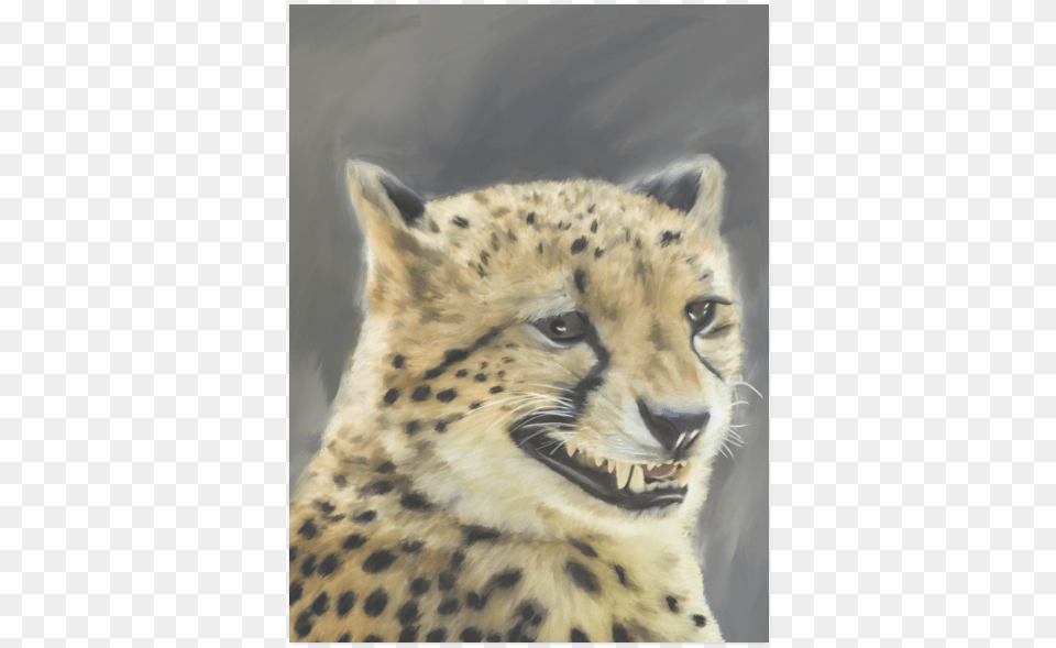 Painting Grinning Cheetah Portrait Poster 18 X24 Cheetah, Animal, Mammal, Wildlife, Panther Free Png