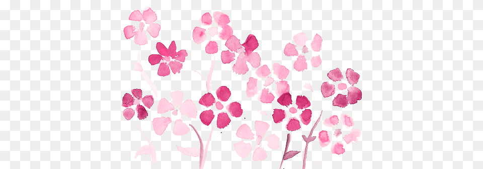 Painting My Edit Flowers Pink Pastel Girl She Never Noticed, Flower, Petal, Plant Free Png Download