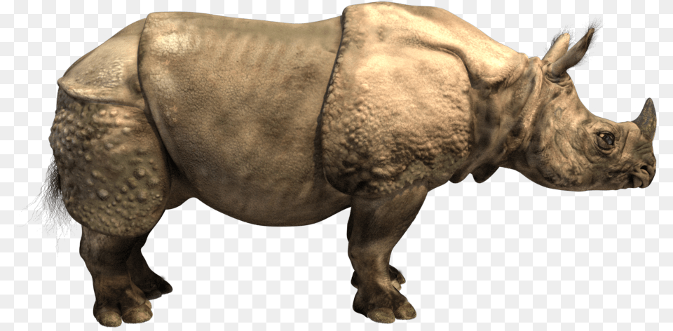 Painting Of One Horned Rhino One Horned Rhino, Animal, Mammal, Wildlife, Elephant Png Image
