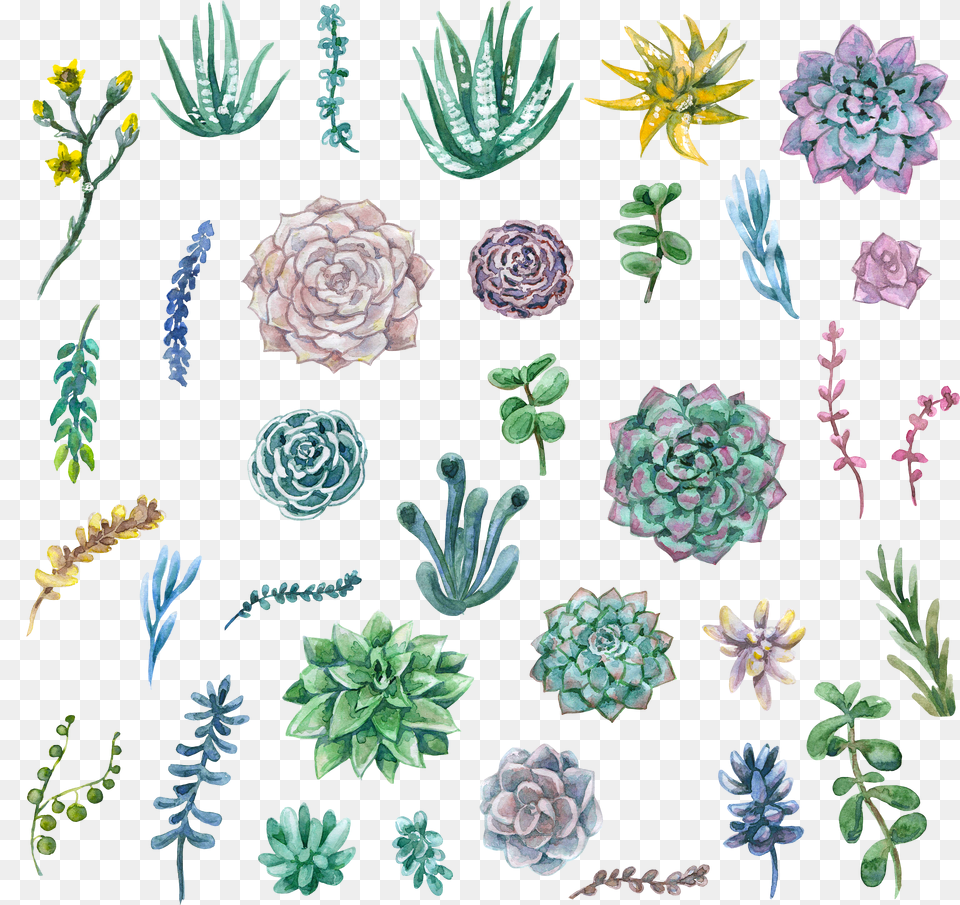 Painting Plant Clip Art Free Transparent Png