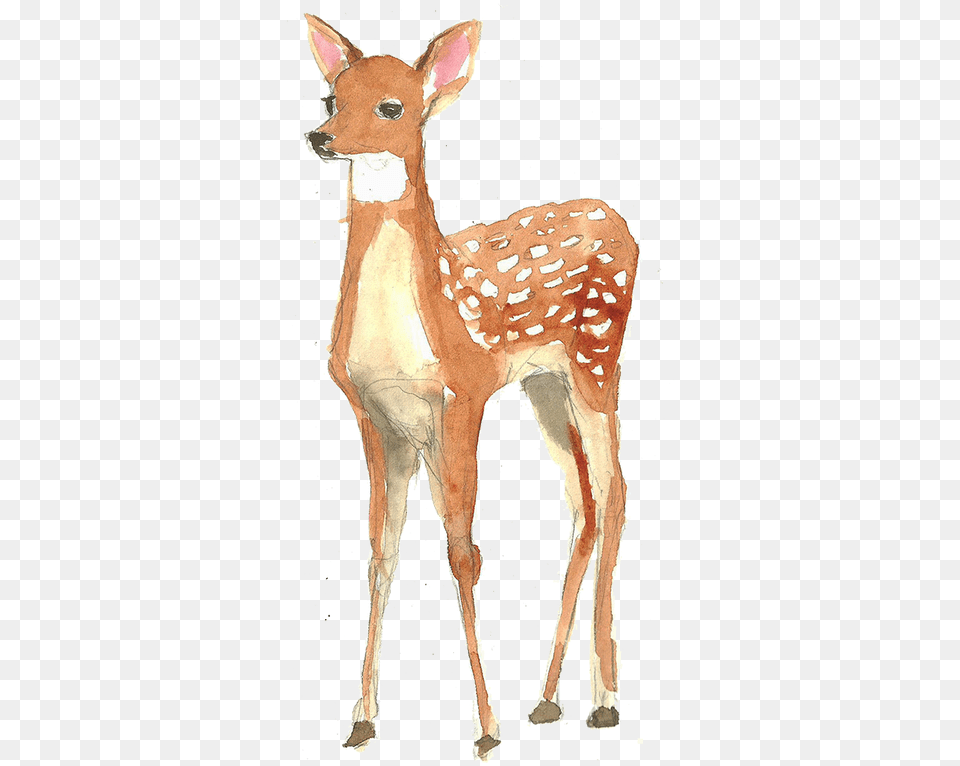 Painting Poster Illustration Deer Deer Painting, Animal, Wildlife, Mammal, Adult Png