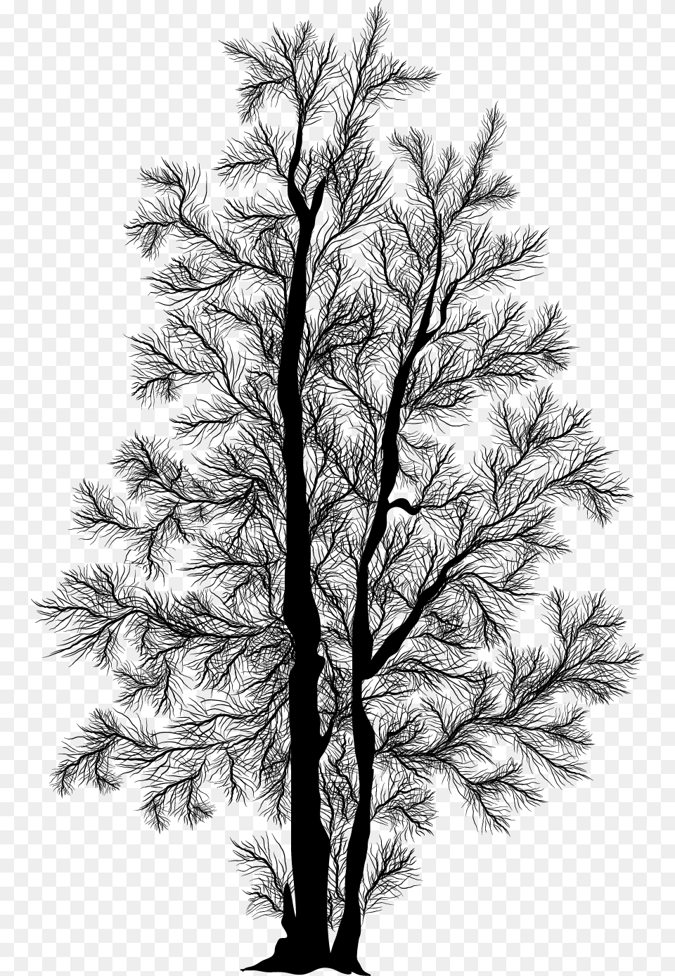 Painting Trees Tree Paintings Tree Clipart Tree Clip Art, Plant, Drawing, Silhouette, Conifer Png