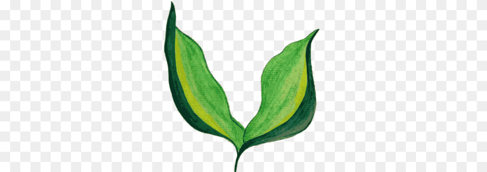 Painting Under Cc0 License, Bud, Flower, Leaf, Plant Free Transparent Png